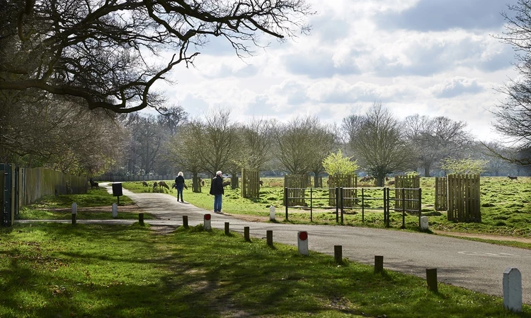 Chestnut Avenue